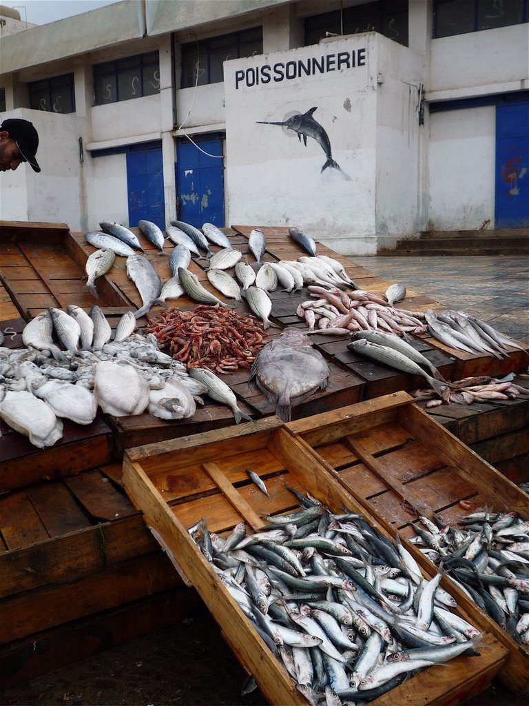 Etalage de poisson à Bou Haroun by Michel GIGUET