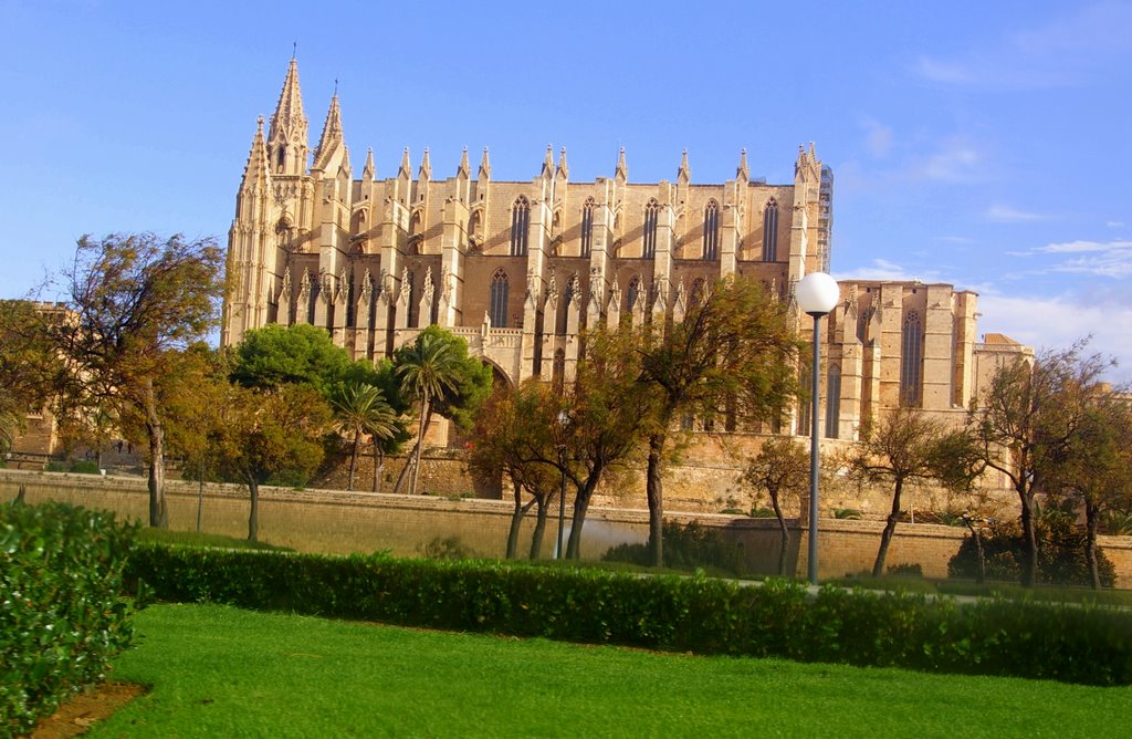 Palma de Mallorca la Cattedrale by © micheleloreto