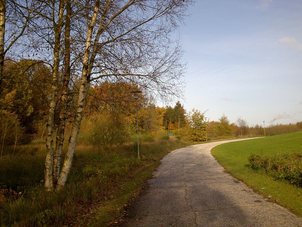 Cykelstien fra Thorshøj i retning mod Birkelundsskolen by Heidi Karlsen