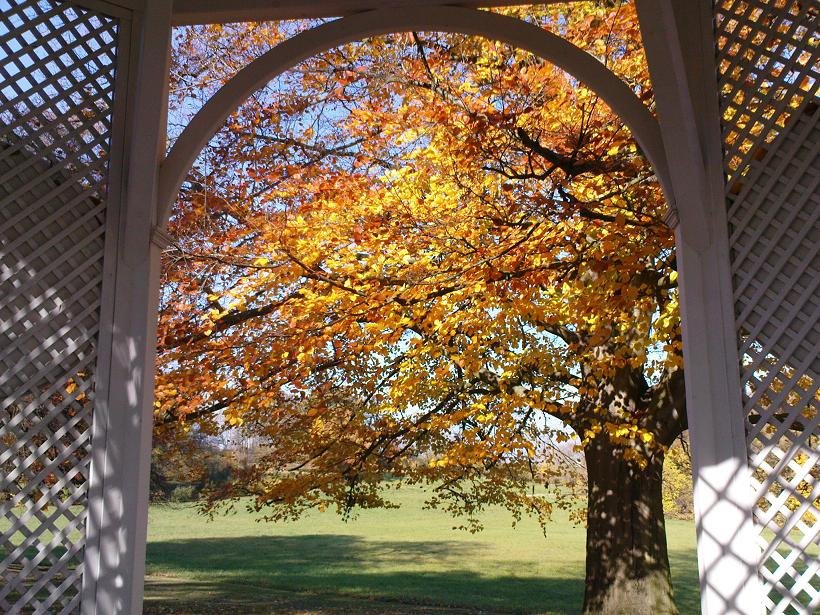 Blick aus dem Holzpavillon by patrique3000