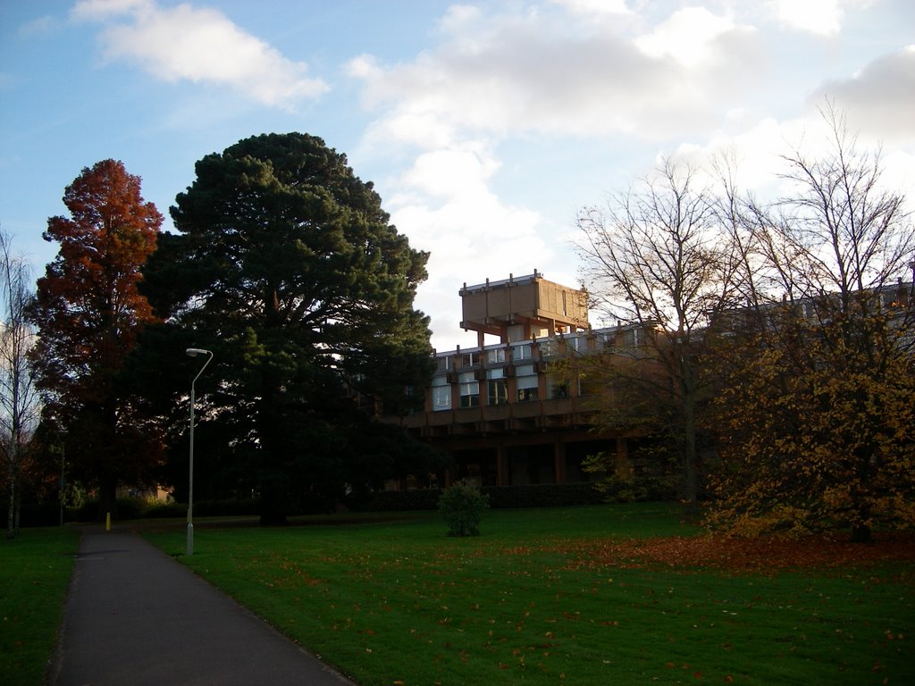 Lego Building Reading University by JackyD