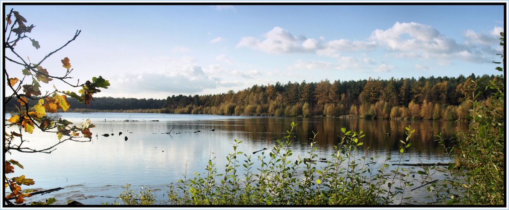 Blakemere in Autumn by Herb Riddle