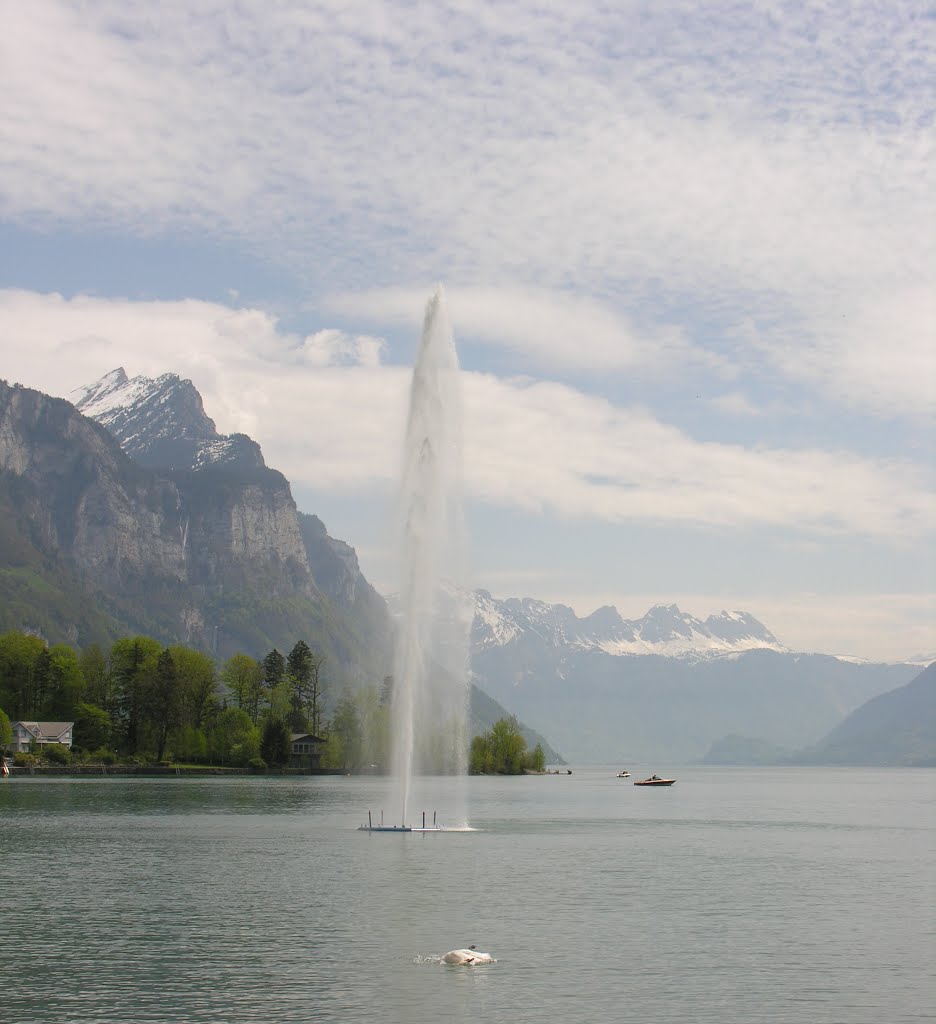 Walensee by vee meihofer