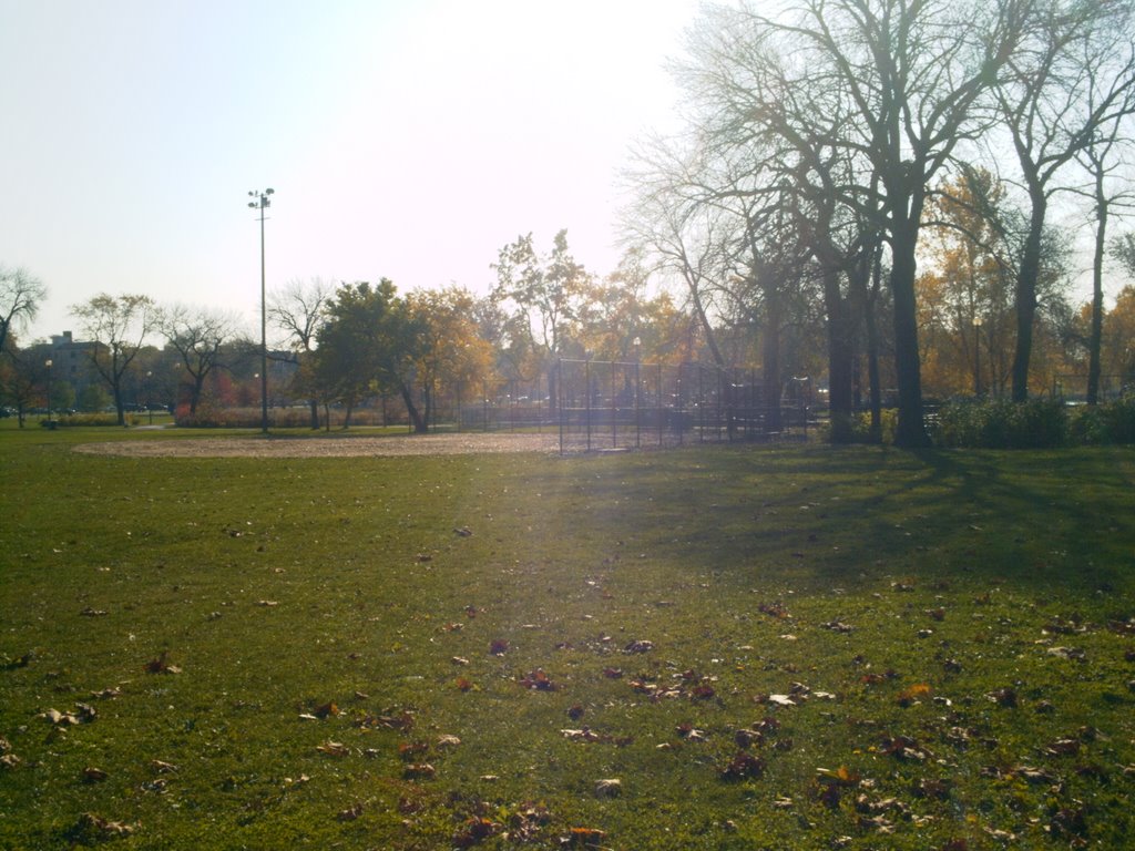 One of the Baseball Fields in Humboldt Park by Bitty123