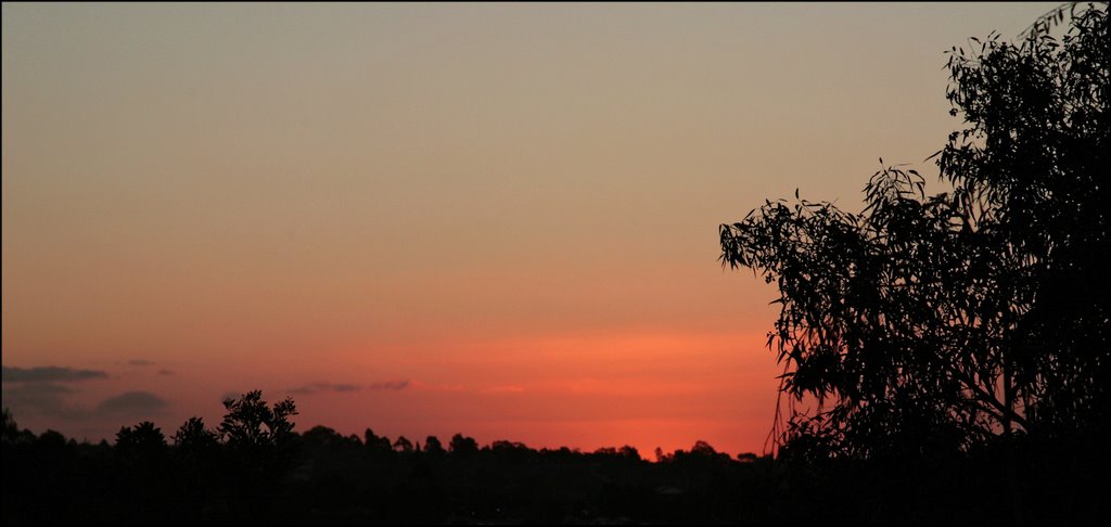 Rosina Lamberti - Sunset Templestowe, 31 March 2007 by rosina lamberti