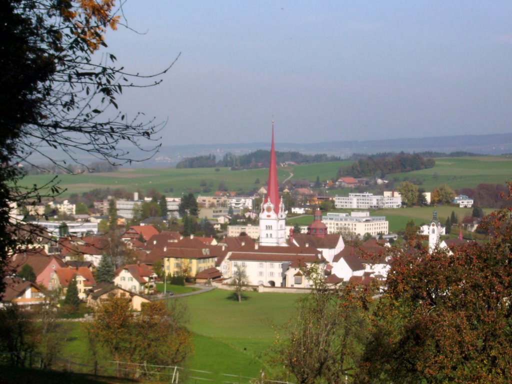 Stiftskirche vom Schlössli aus by Alois Amrein