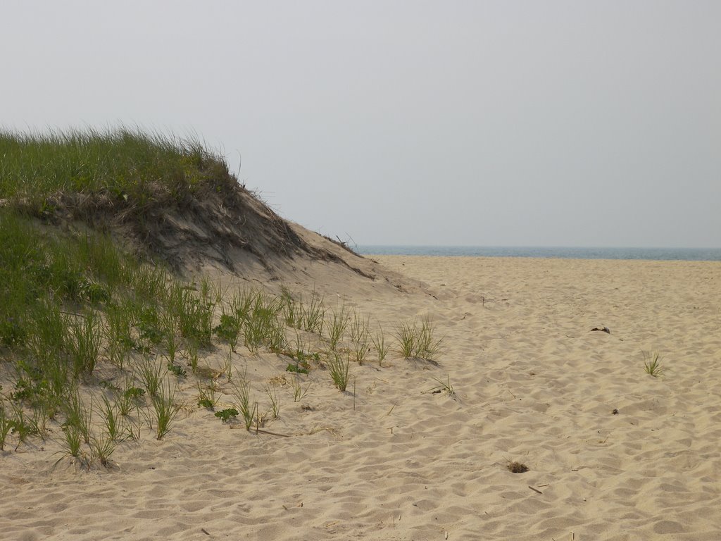 Miacomet Dune by Mark Siciliano