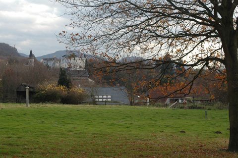 Blick auf Schloss "Kommende" in Bonn-Beuel-Süd by Axel Glass