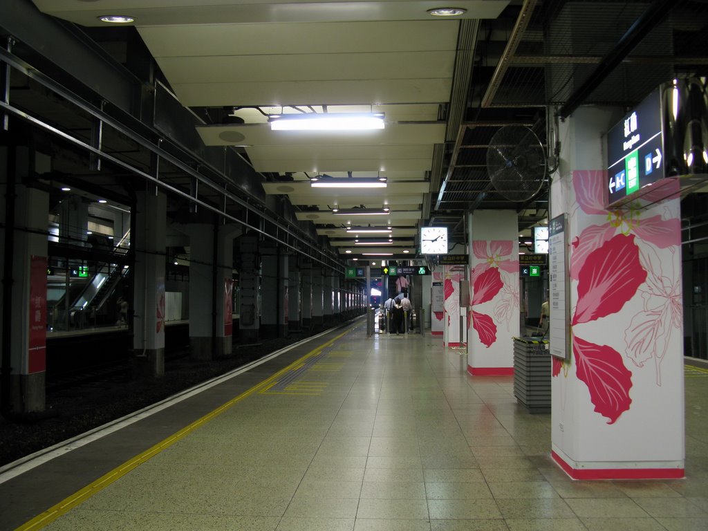 紅磡站 東鐵綫月台 East Rail Line Platform of Hung Hom Station by Baycrest