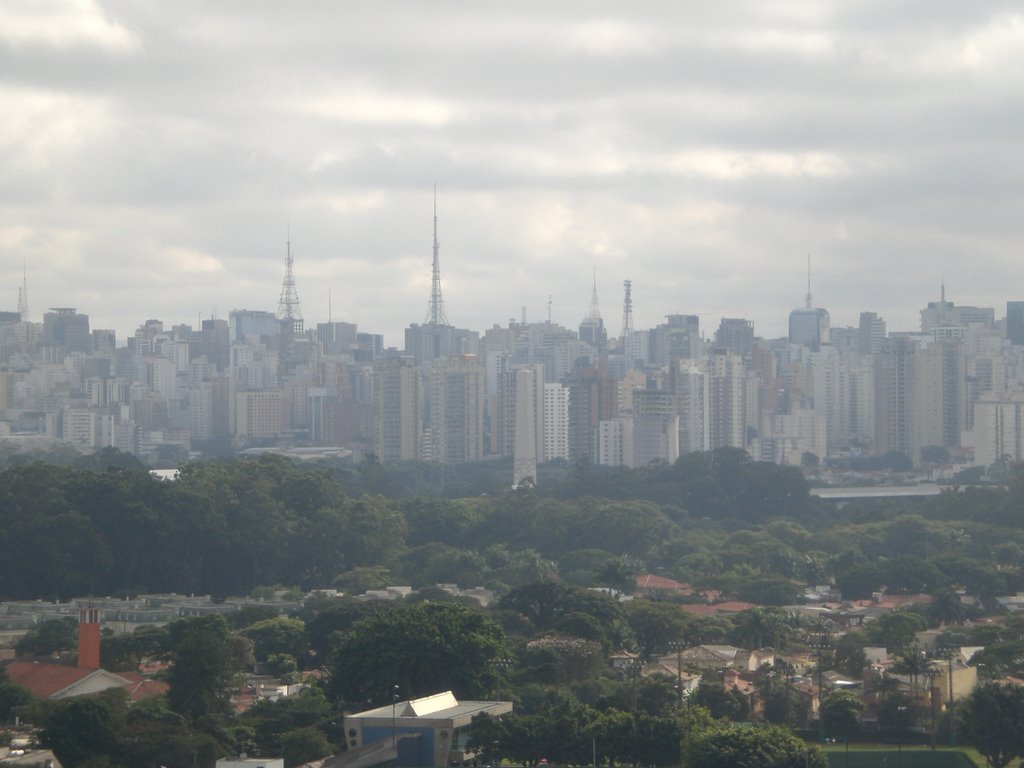 Vista Aerea do Pq Ibirapuera com Av. Paulista ao fundo by rm.fabri