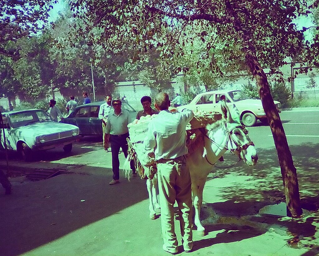 Apple Vender,Tehran 1985 by F.Zaman