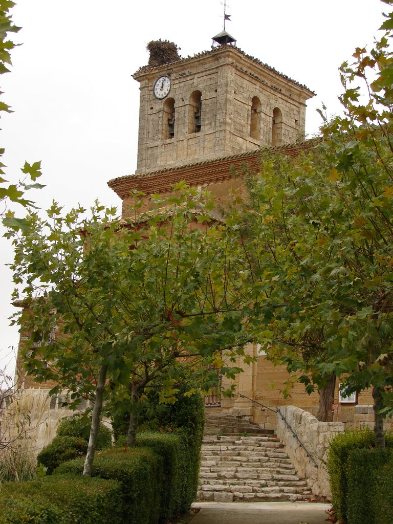 Torre De Sta. Maria Magdalena (Población De Campos,Palencia) by laura&paula