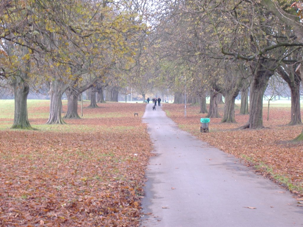 Llandaff dros y parc by L.E.ChavarríaOwen