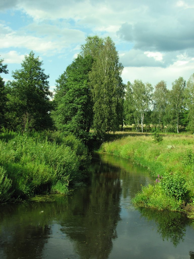 Река Унжа близ д.Войново (The Unzha River Near The Voinovo Village) by Natasha Fisher