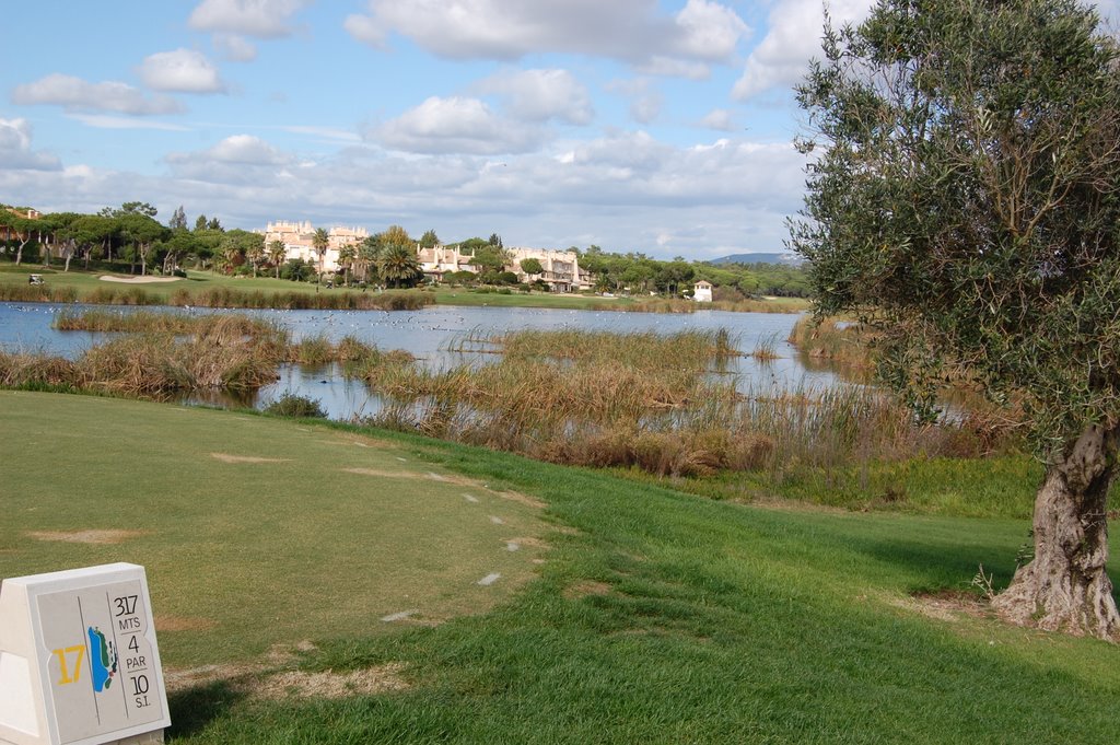 San Lorenzo Golf Course by Starburst6