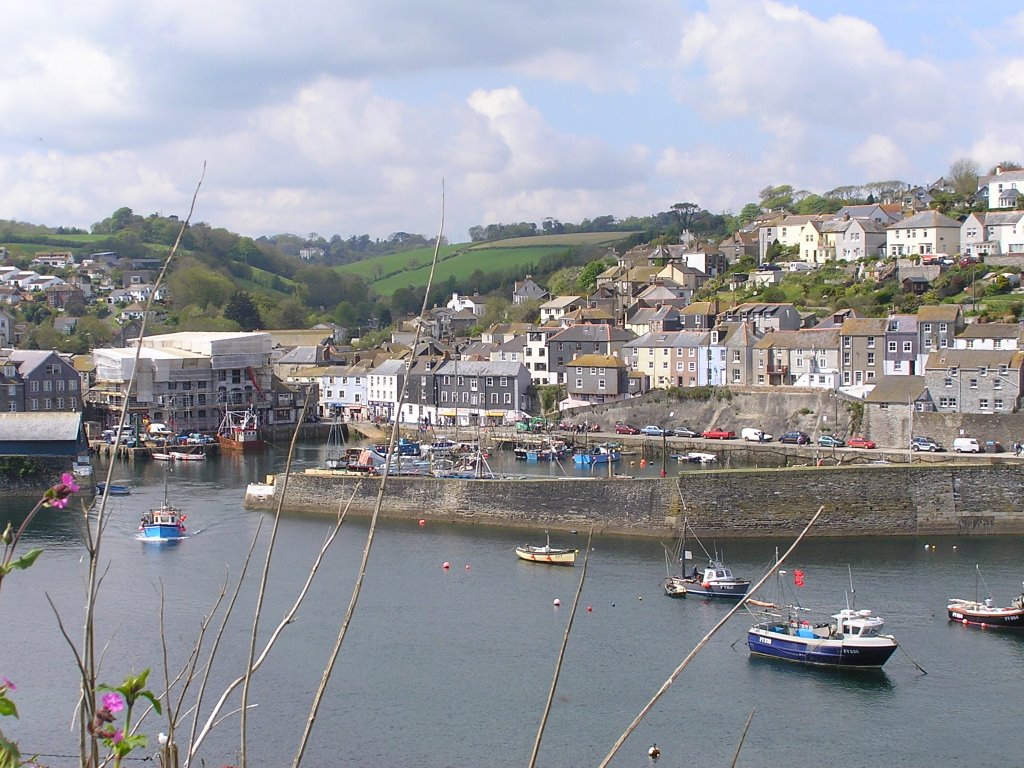 Mevagissey by Geoff Slack