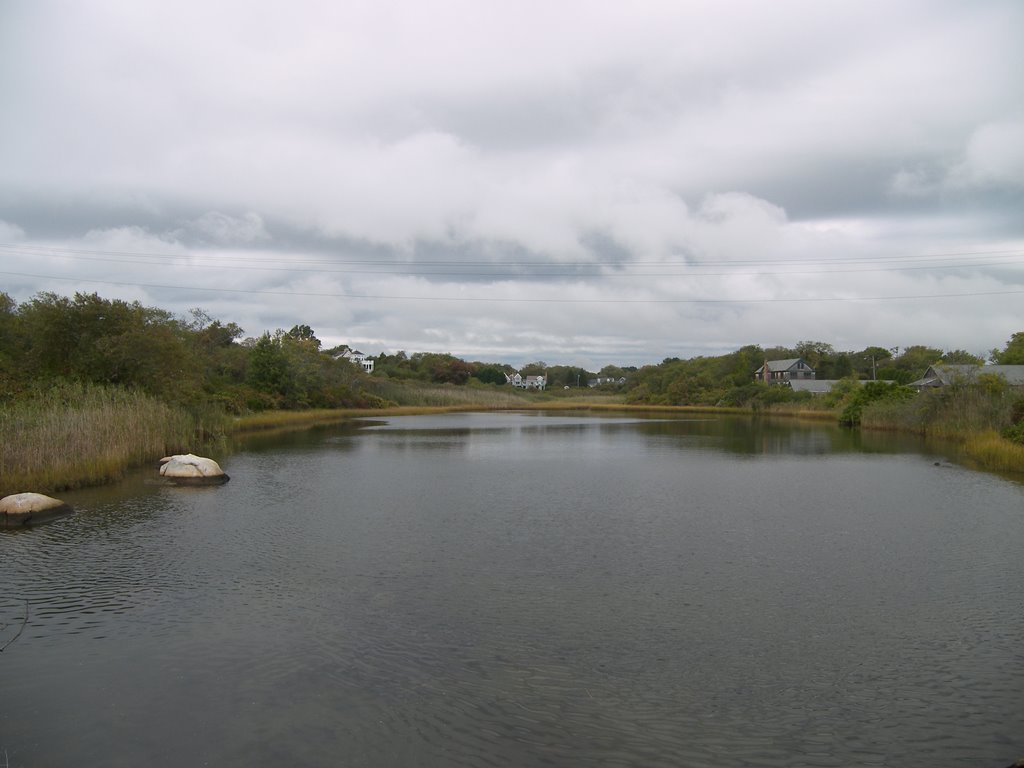 Tidal Pond by Mark Siciliano