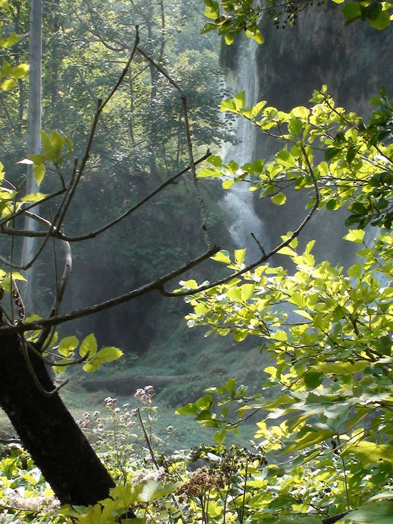 Plitvice by bogusławG