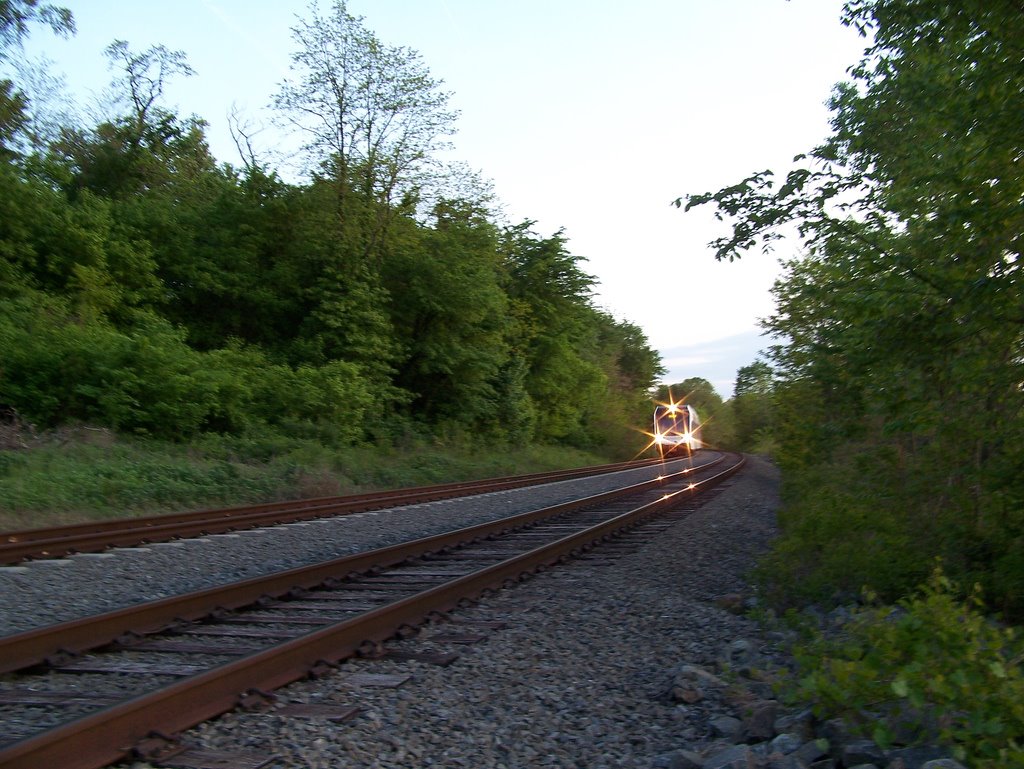 The Light Rail at Fieldsboro, NJ by cmiller010