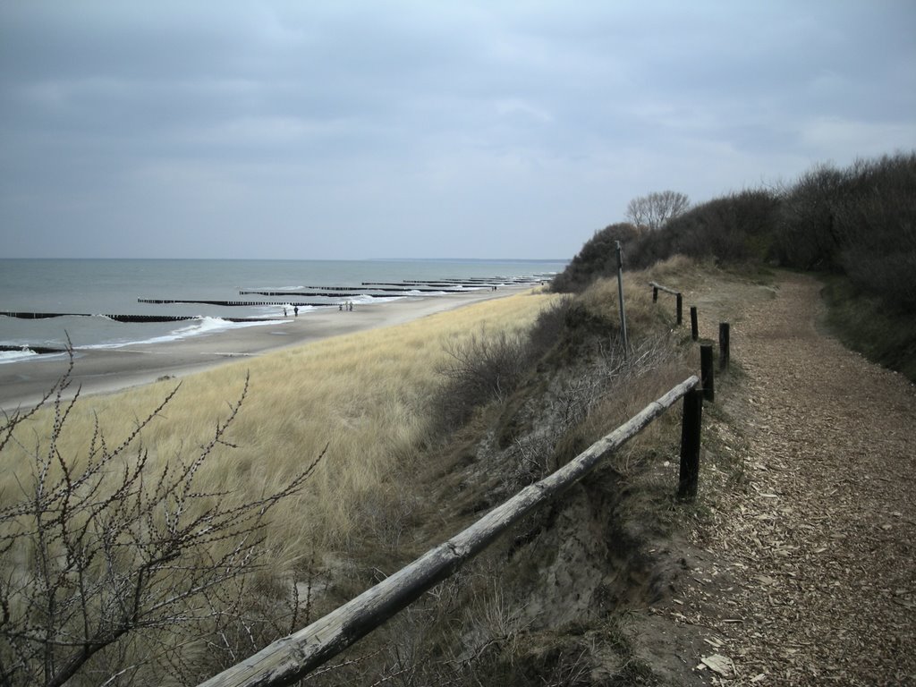 Zwischen Ahrenshoop und Wustrow by A.Dinsing