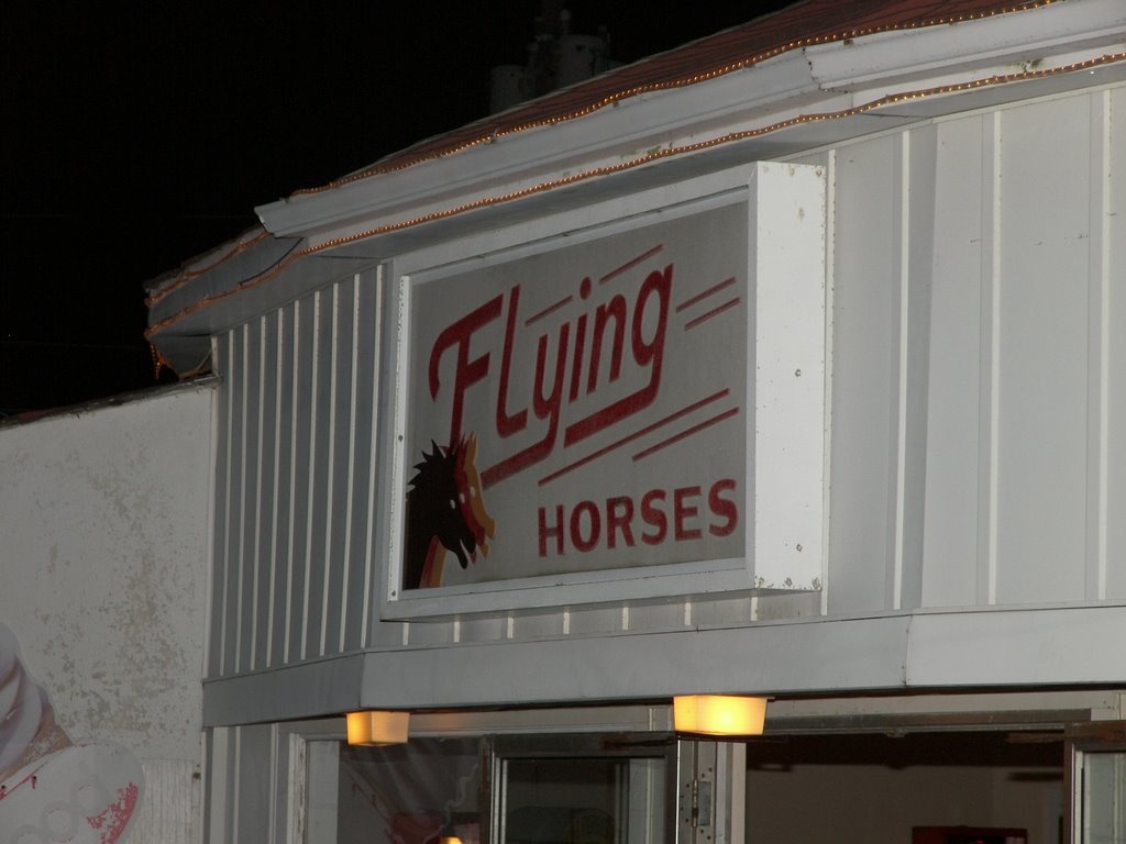 Flying Horses by Mark Siciliano