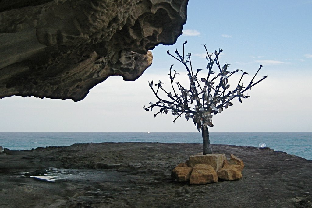 Unknown - Sculpture by the Sea 2008 by androo