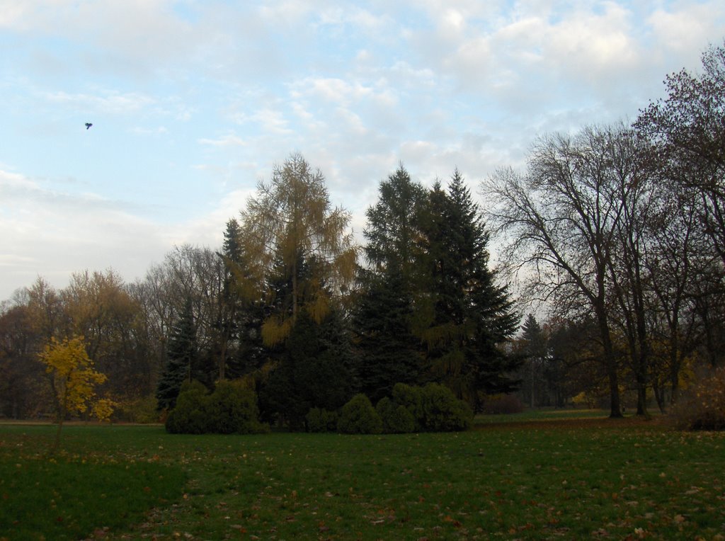 Łódź - Park im. księcia Józefa Poniatowskiego (1) by henryka_pakula