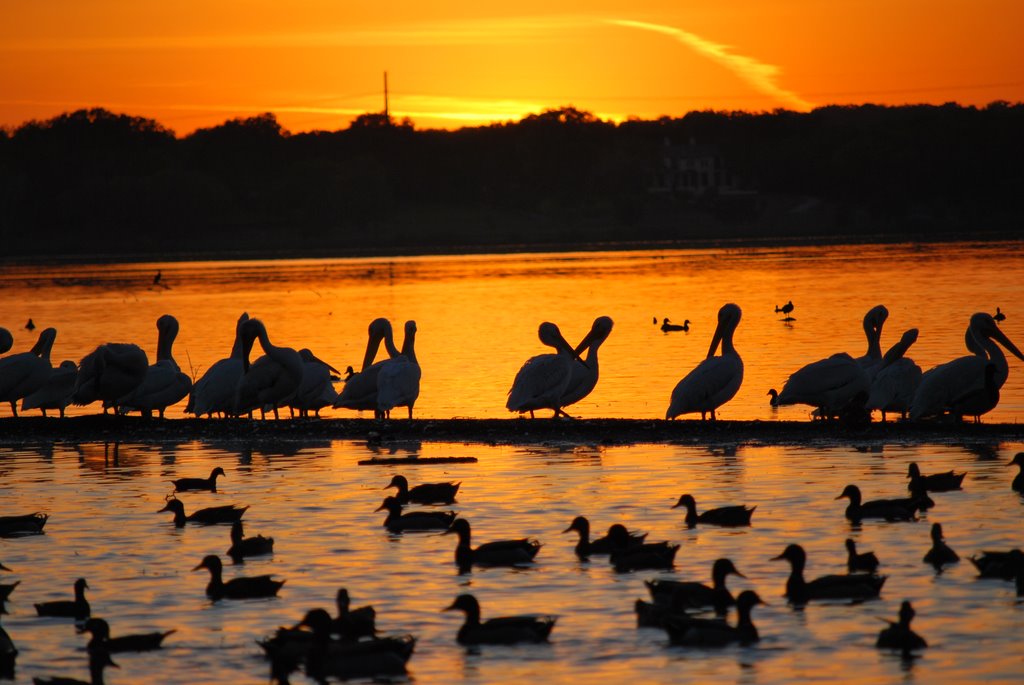 Bonito atardecer by Jorge Olvera Garcia