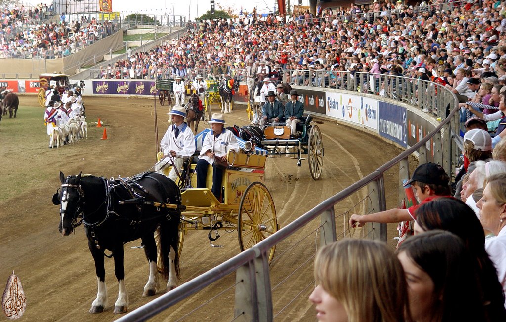 Sydney Royal Easter Show (Homebush Bay) In 1869, the venue was moved from Parramatta to Prince Albert Park until 1881 when the Government of New South Wales provided land for the Royal Agricultural Society at Moore Park where the show was held for 116 years. In 1998, the Show moved to a new showground in Sydney Olympic Park at Homebush Bay. The former Sydney Showground at Moore Park has since been converted into Fox Studios Australia by kevin mcvay