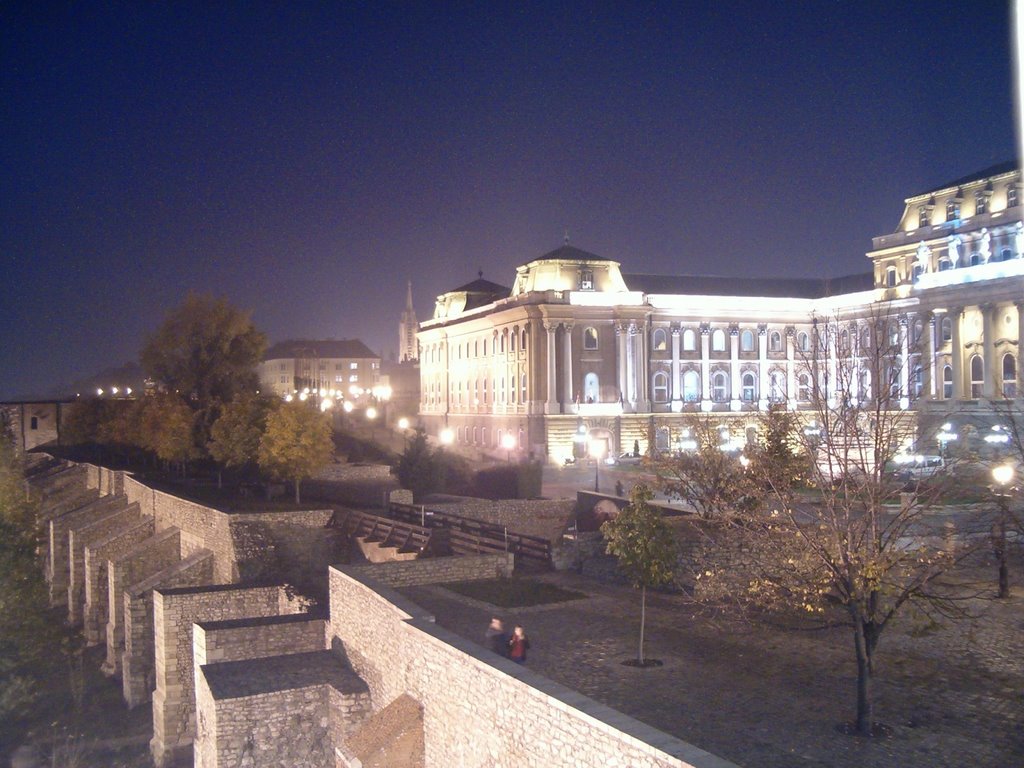 Budai vár éjszaka - Royal Palace at night by elgrand3