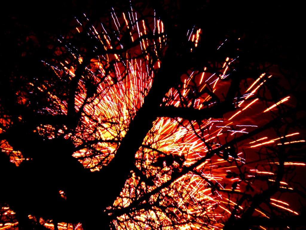 BONFIRE NIGHT 2008 by Monica Sablone