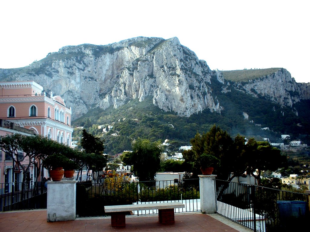 Capri by Arch. Vincenzo Vitie…