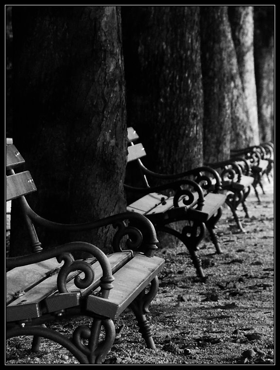 Pad-sor / Row of benches by Csaba Németh