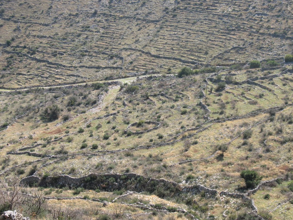 Fences and terraces near Pyrgaros by macrolepis