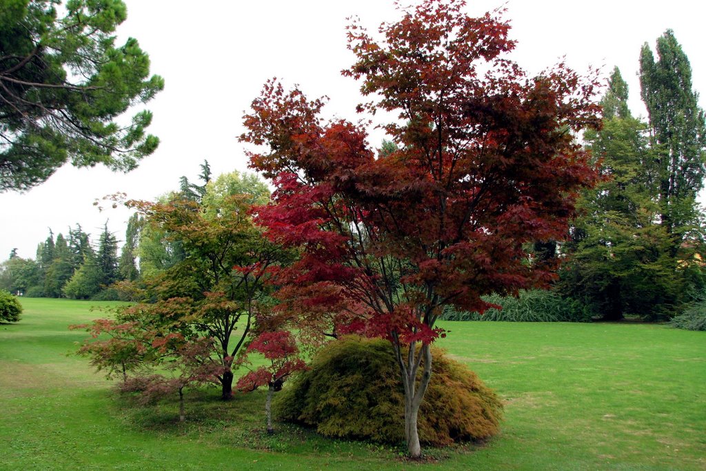 Parco Sigurta Giardino by gerhardknoe