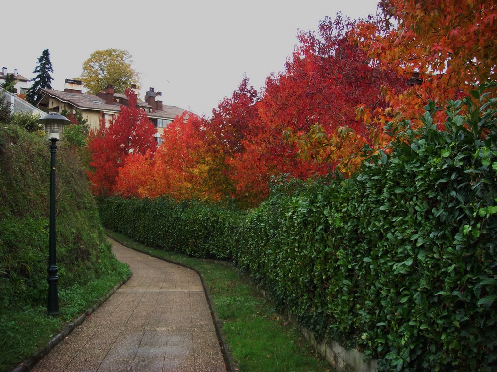 LLego el Otoño a Hondarribia by chancho7