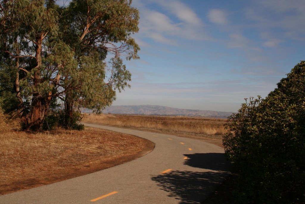 Shoreline Park trail by Edward Rooks