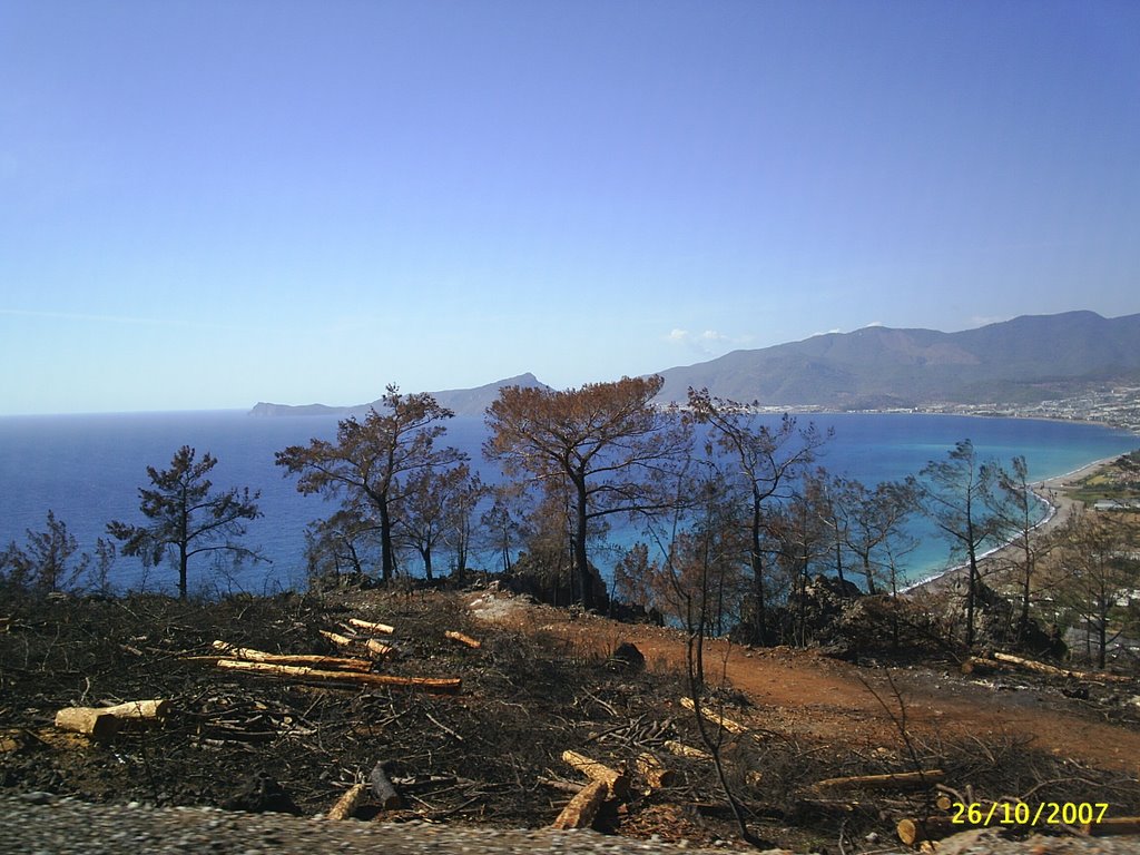 Tekeli yanmış ormanın hali(2007 yılı)-Tahsin LÖK by Tahsin LÖK