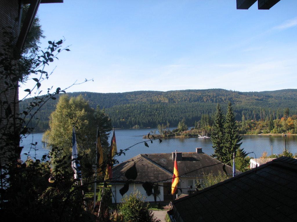 SCHLUCHSEE ET SON LAC FORET NOIRE by PERVENCHE54