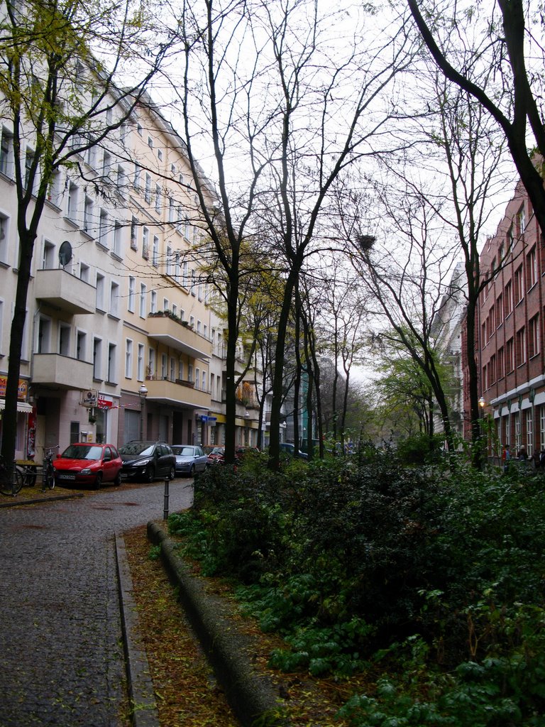 Böckhstraße (Herbst 2008) by Uli Herrmann