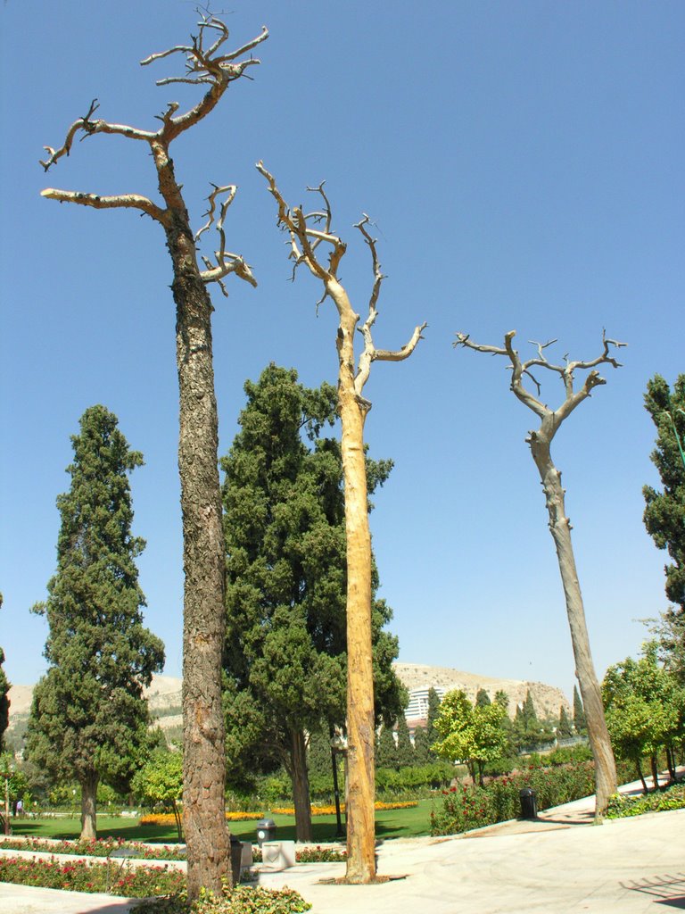 Jahan Nama Garden by IPAAT