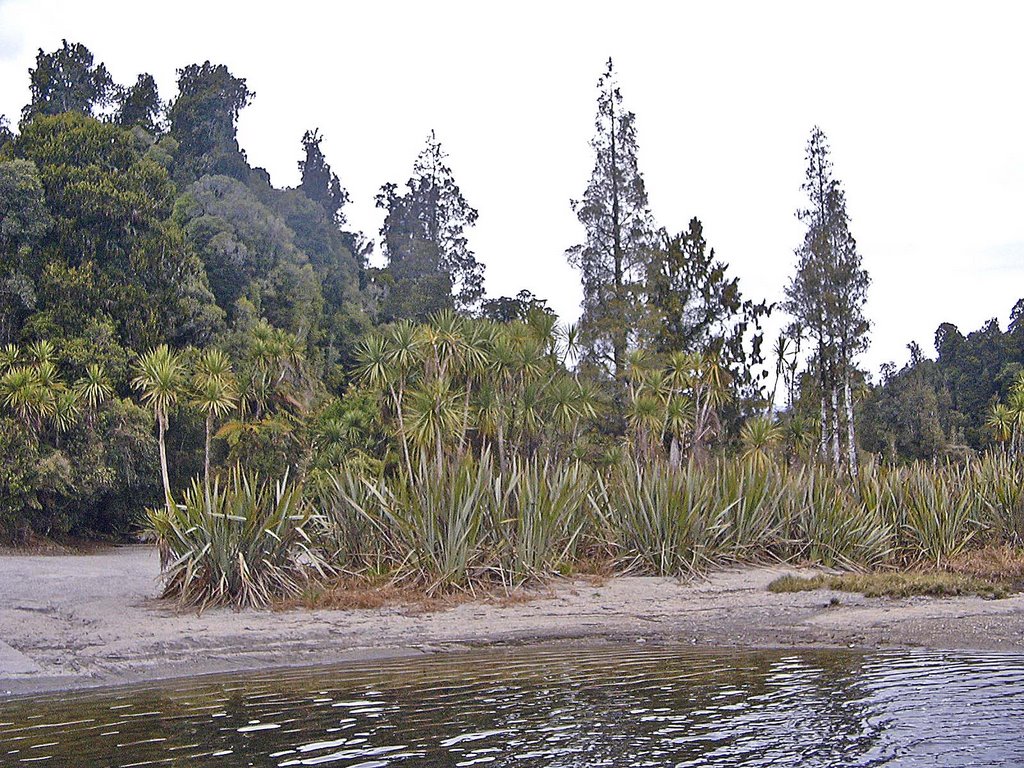 Lake Mapourika 2 by WPHall