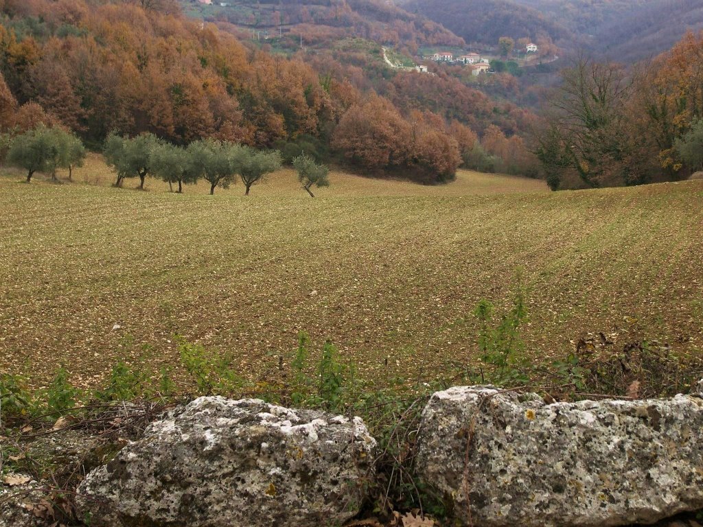 Campagna arpinate presso la Civitavecchia by lucabellincioni