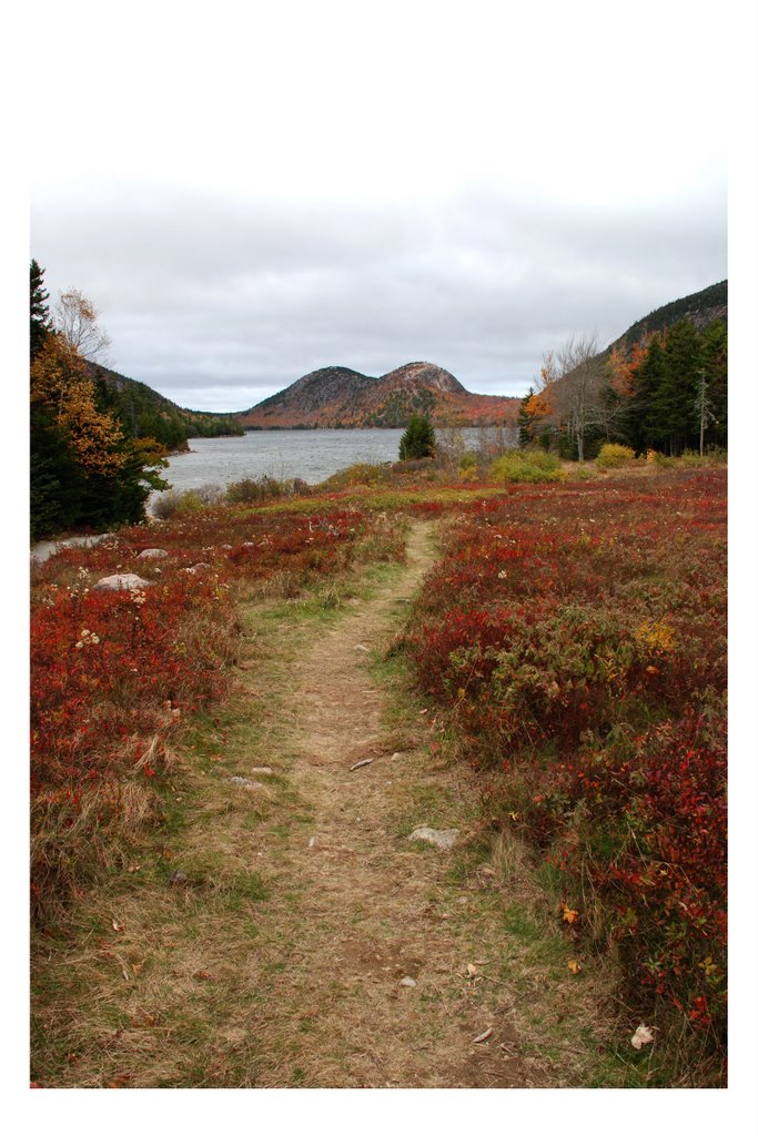 Jordan pond by get wired