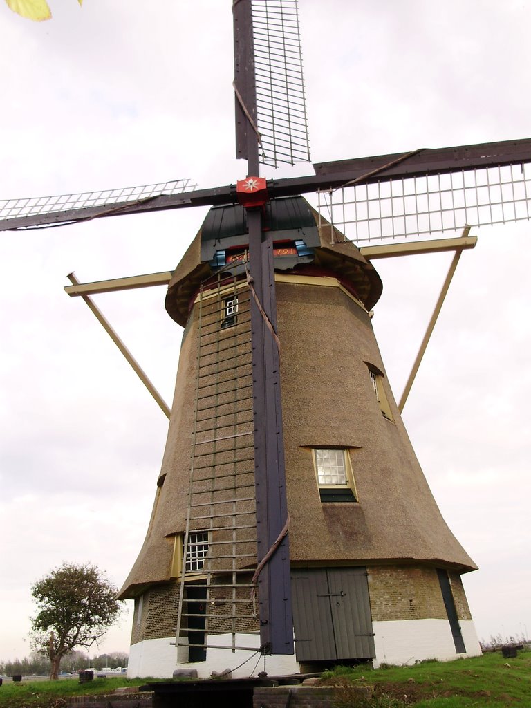 Molen, Hank by Jan van Gils