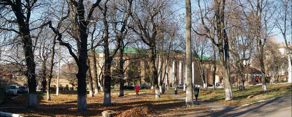 Hospital park in November 2 by Sergei Sarychev