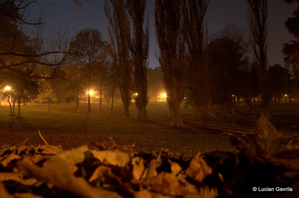 Toamna in parc, noaptea by galulescu