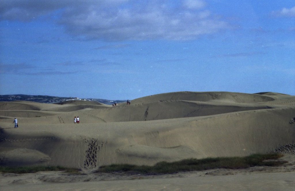 DUNE by cataldo santoro