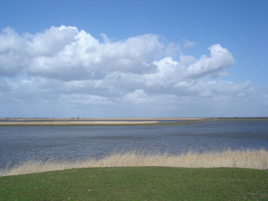 Oostvaarders plassen, Almere. by Joost van Bennekom