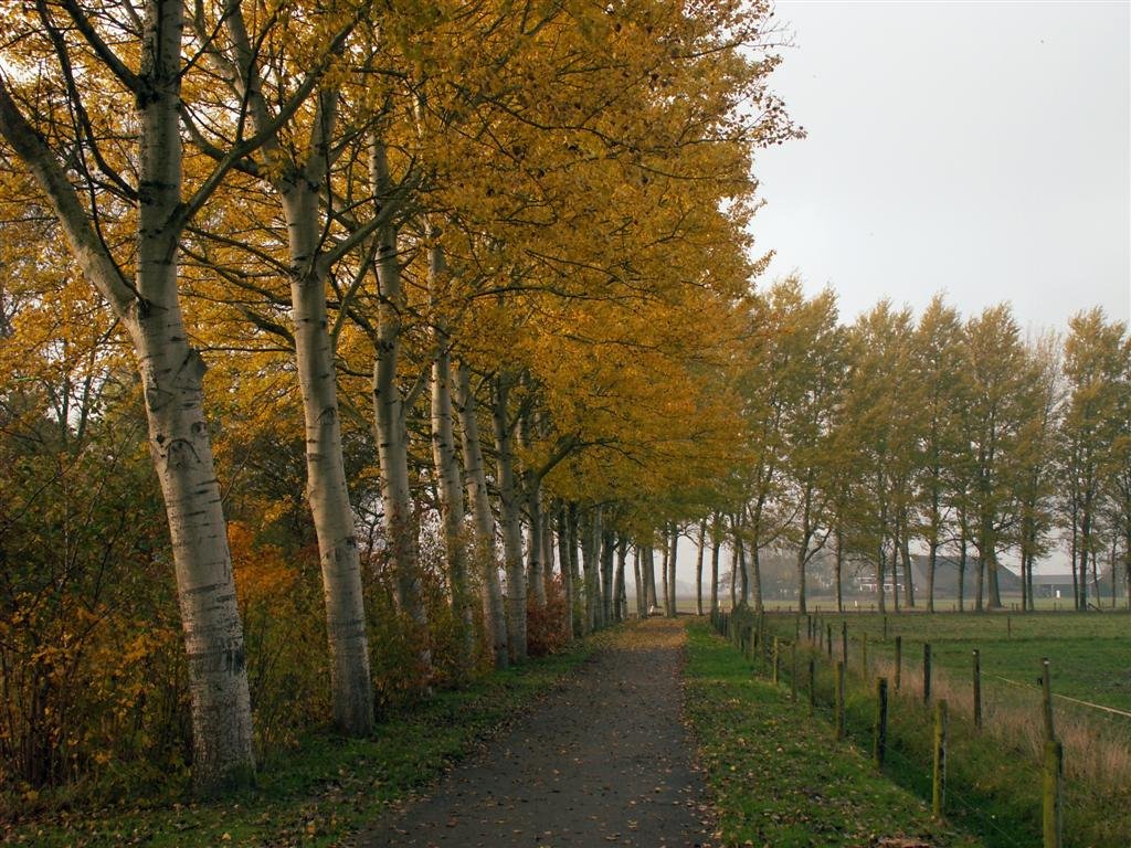 Het fietspad richting Spijk. by Tjeert.Mensinga ©